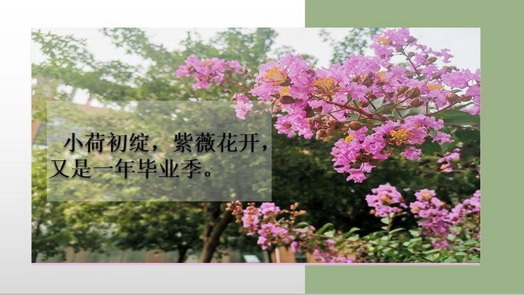 20200704223305303.jpg