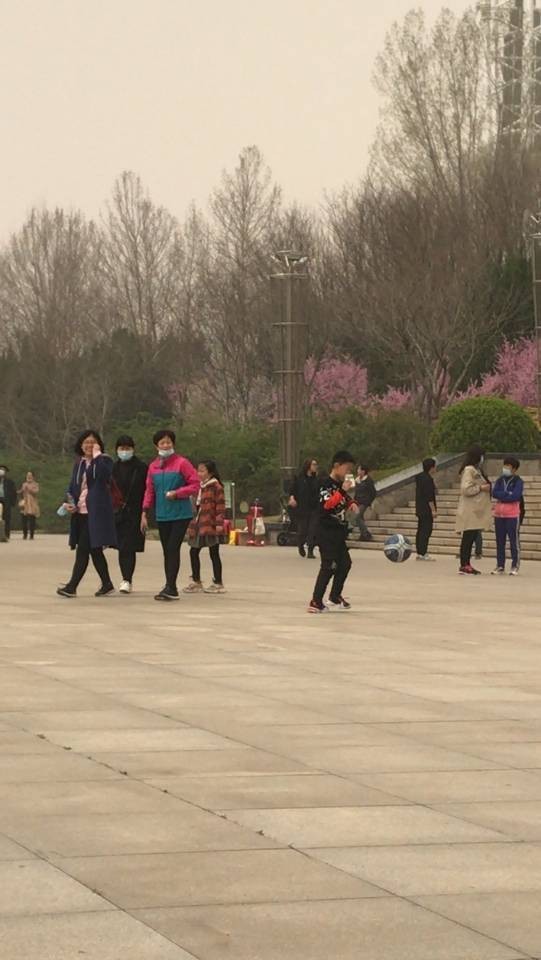 携手青春，圆梦同行——德州一中东校区2018级14班踏青活动331.png