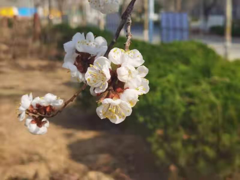 微信图片_202203232035245.jpg