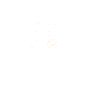 202261135943994