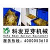 豆芽菜行业发展前景