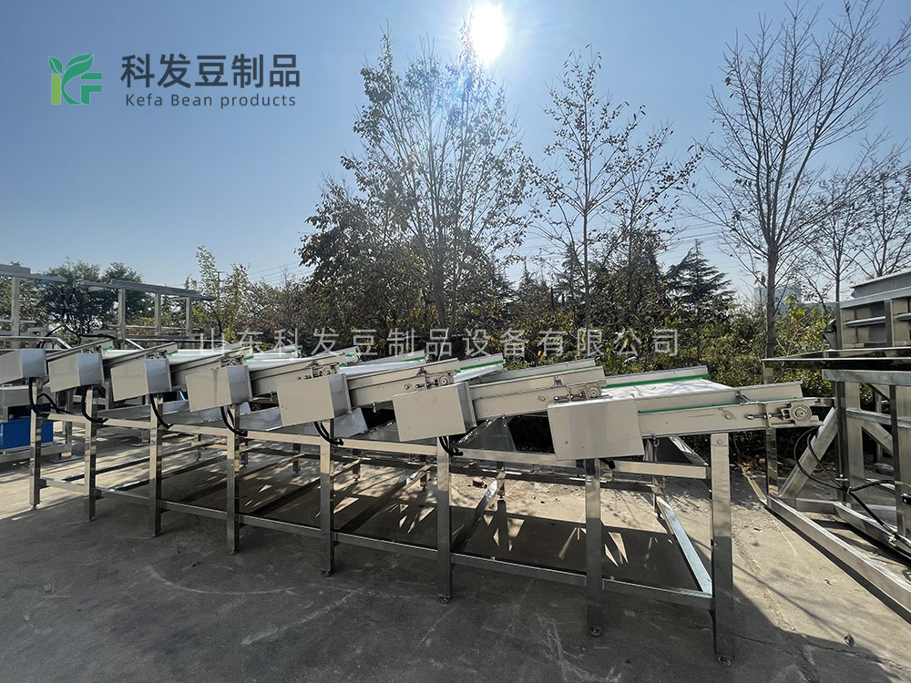 大型黄豆芽清洗机