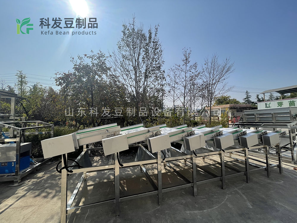 大型黄豆芽清洗机