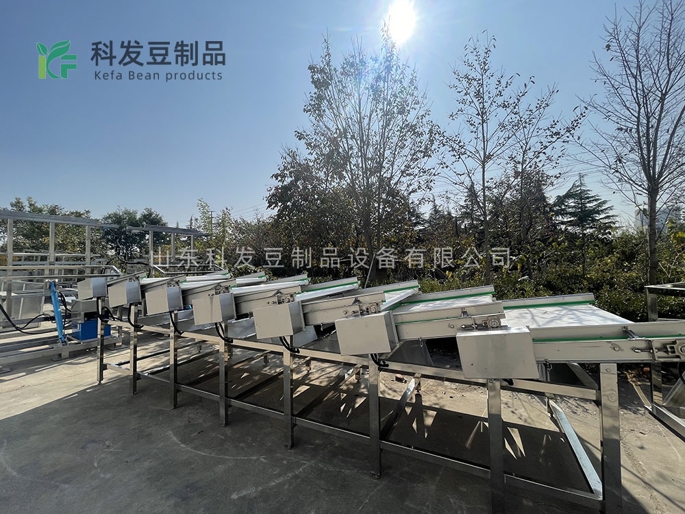 大型黄豆芽清洗机