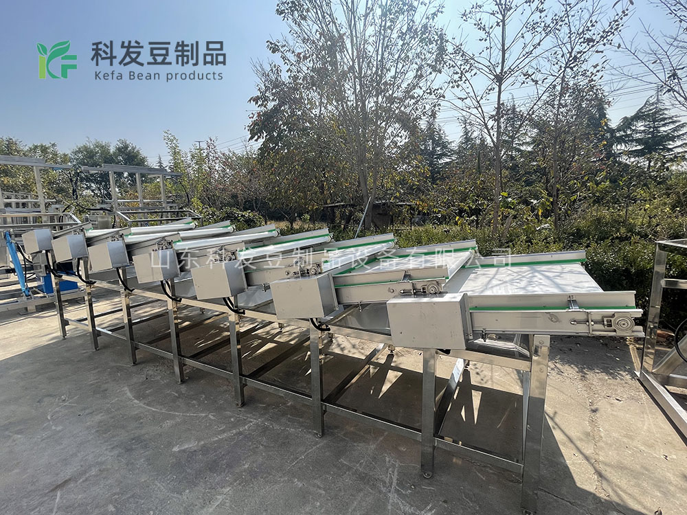 大型黄豆芽清洗机