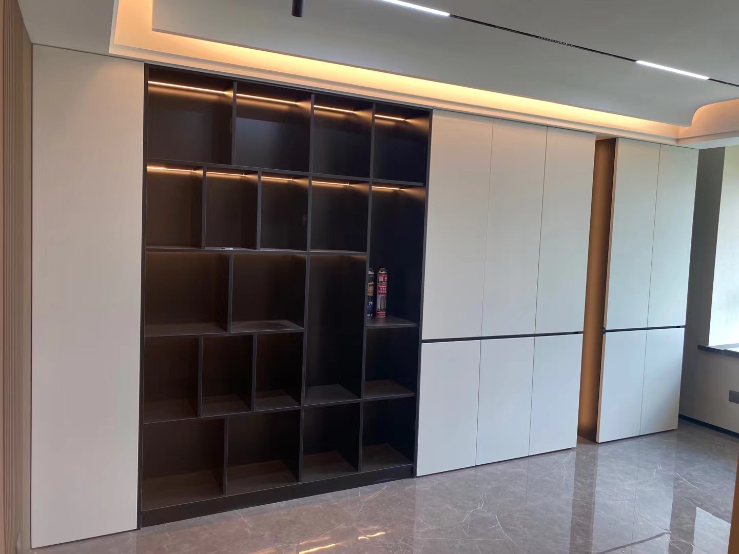 展示柜（酒柜/手办柜/装饰展示柜/书房陈列柜）