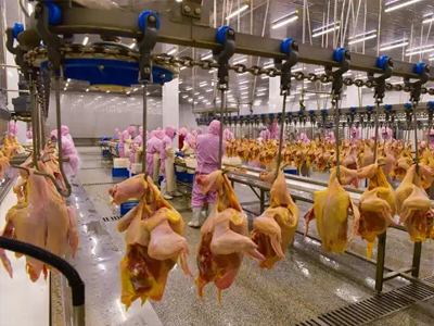 What are the advantages of our meat processing equipment?