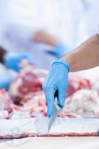 Advanced meat conveying system