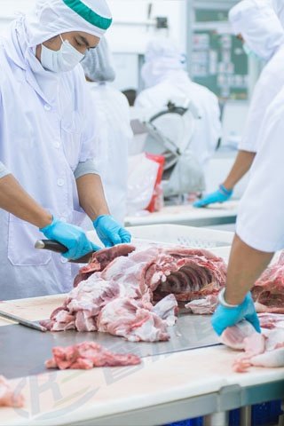 Meat Processing Forming Equipment
