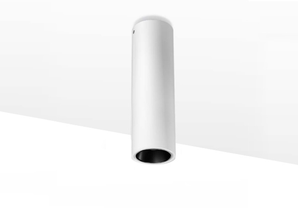 X DownlightLA-X-MTS010