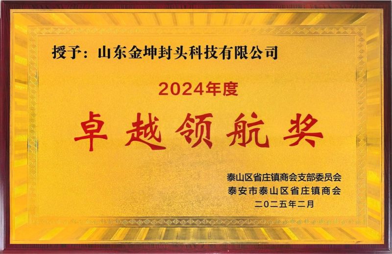 卓越领航奖