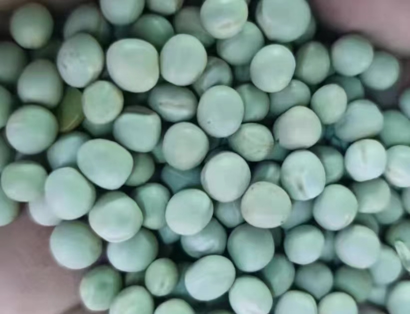 Green Peas