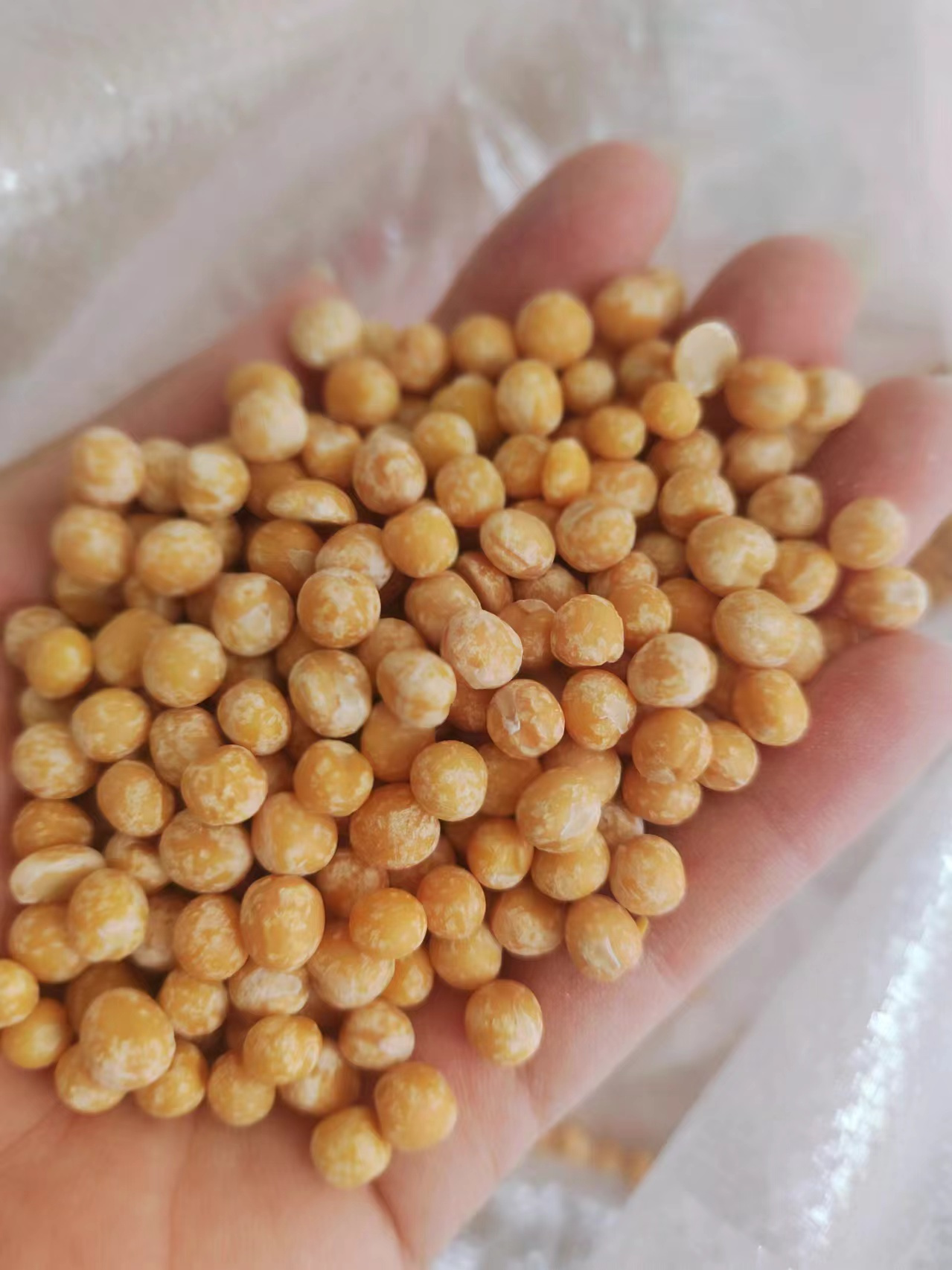 Dehulled pea kernels