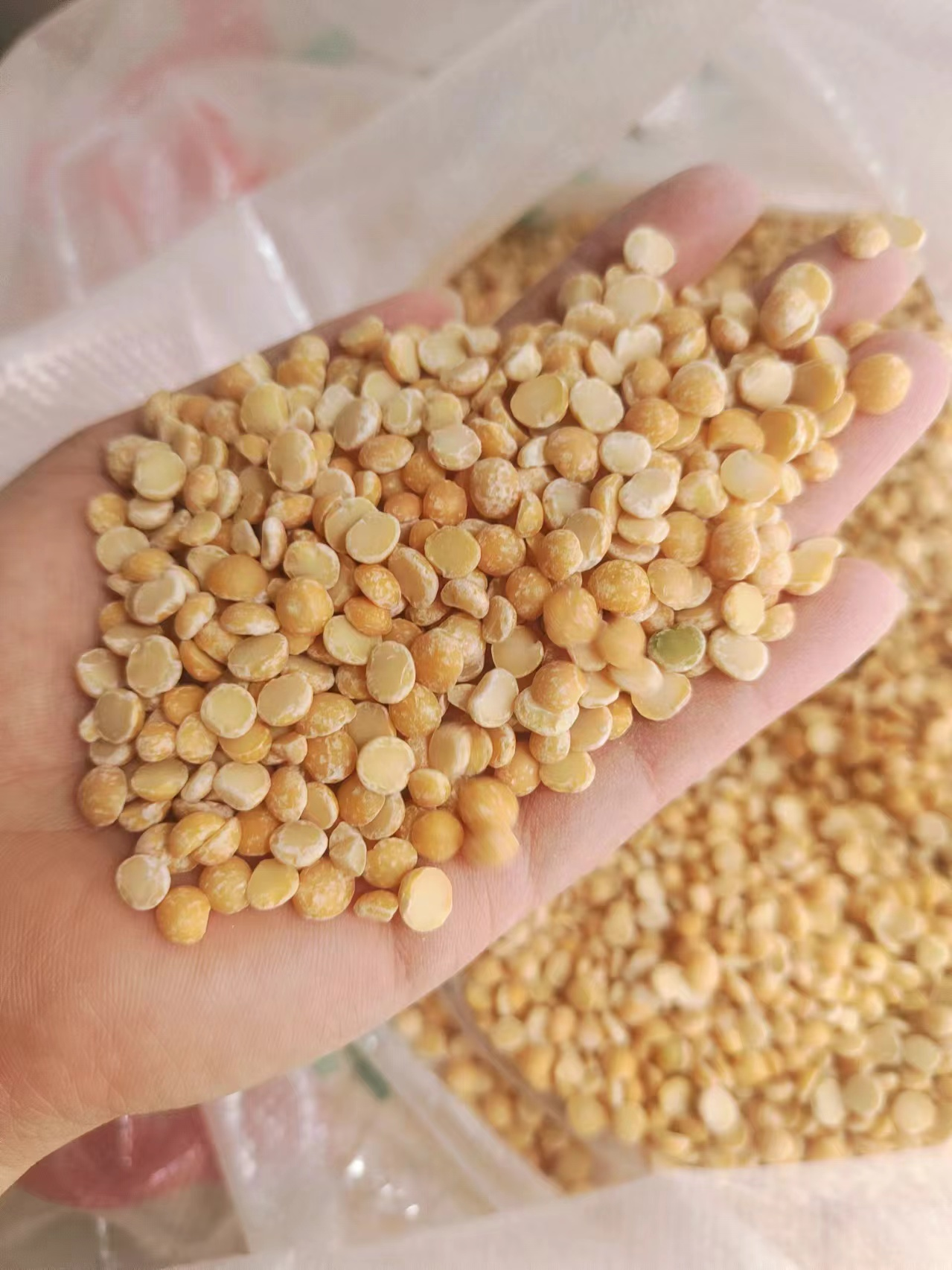 Dehulled Pea Splits