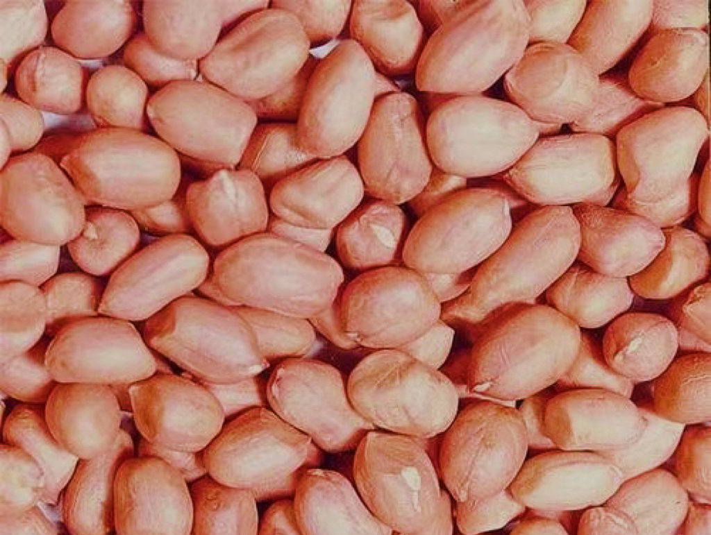 Peanuts