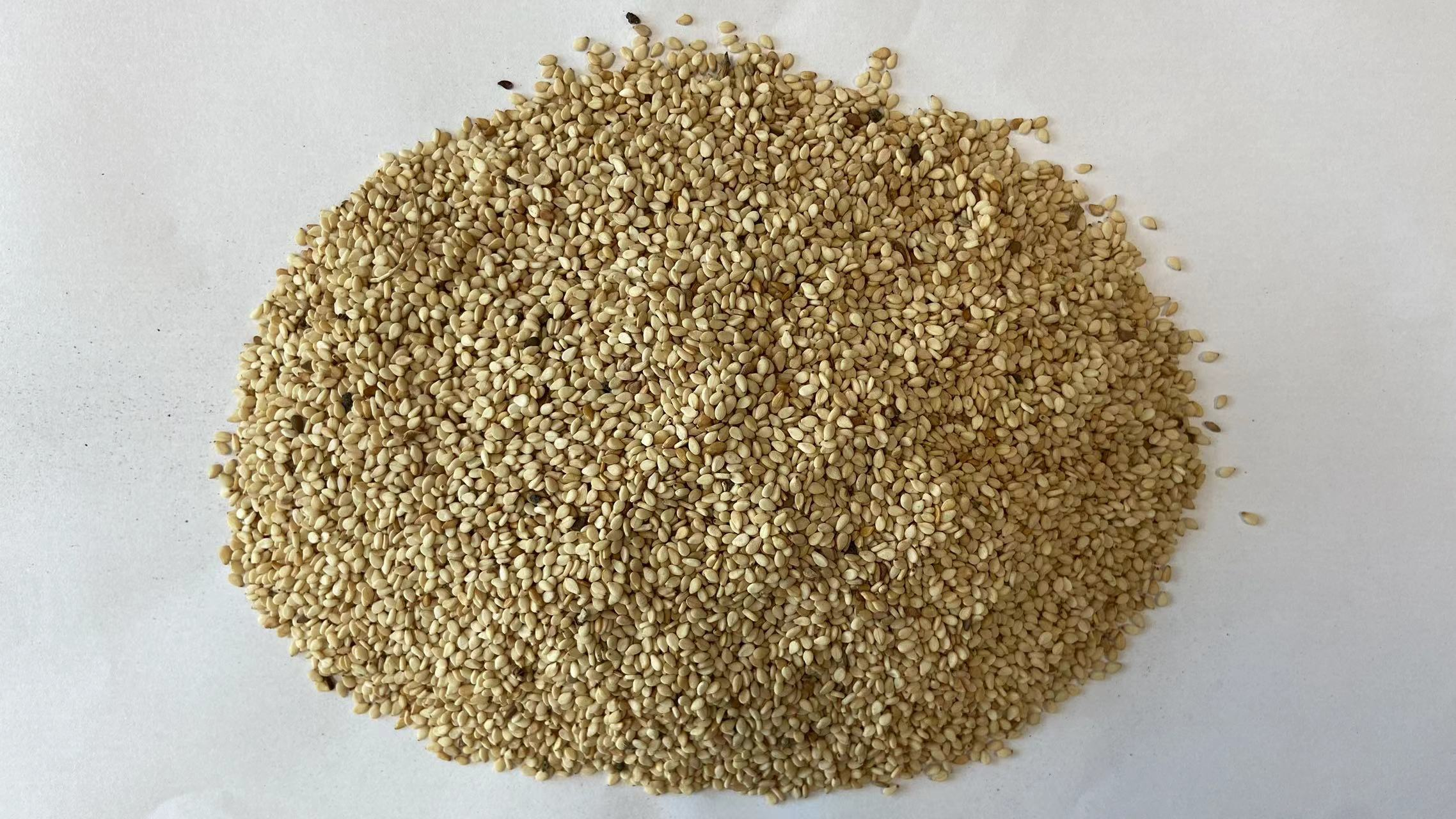 Sesame