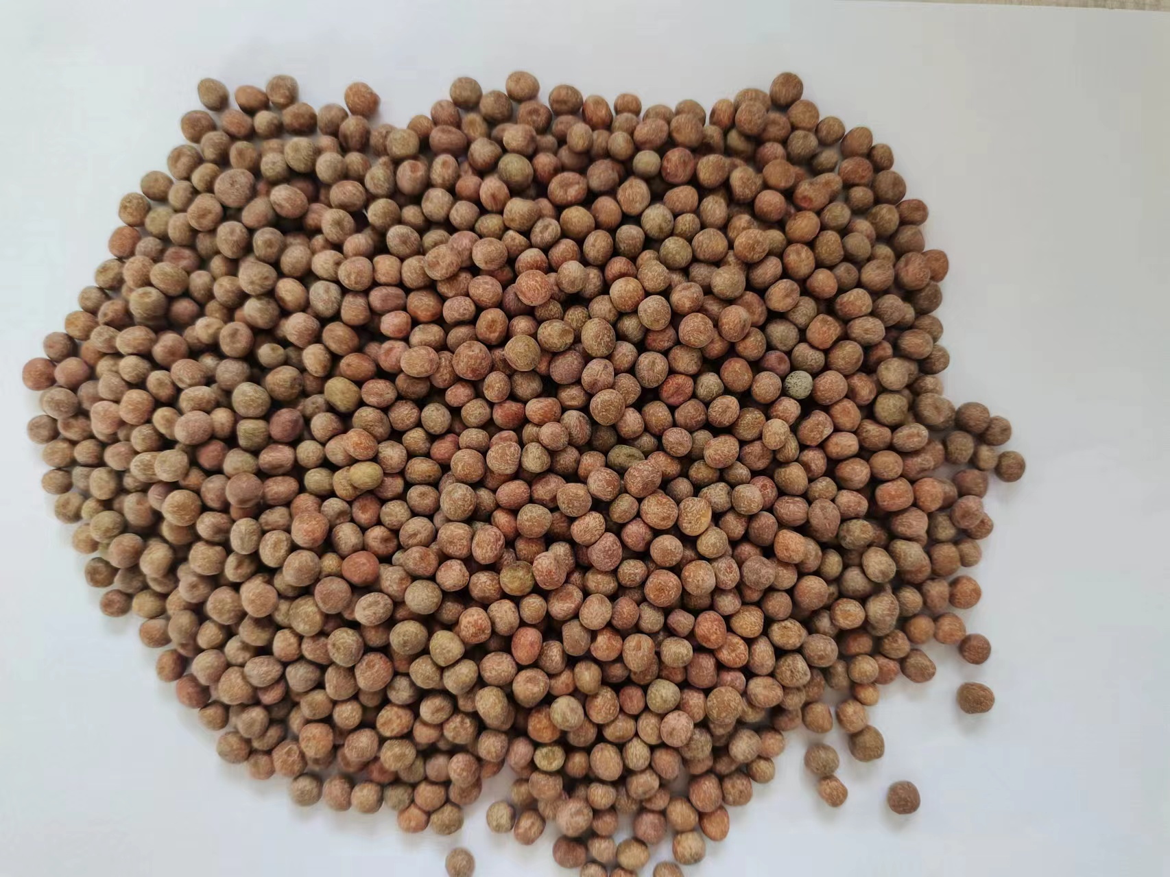 Maple Bean