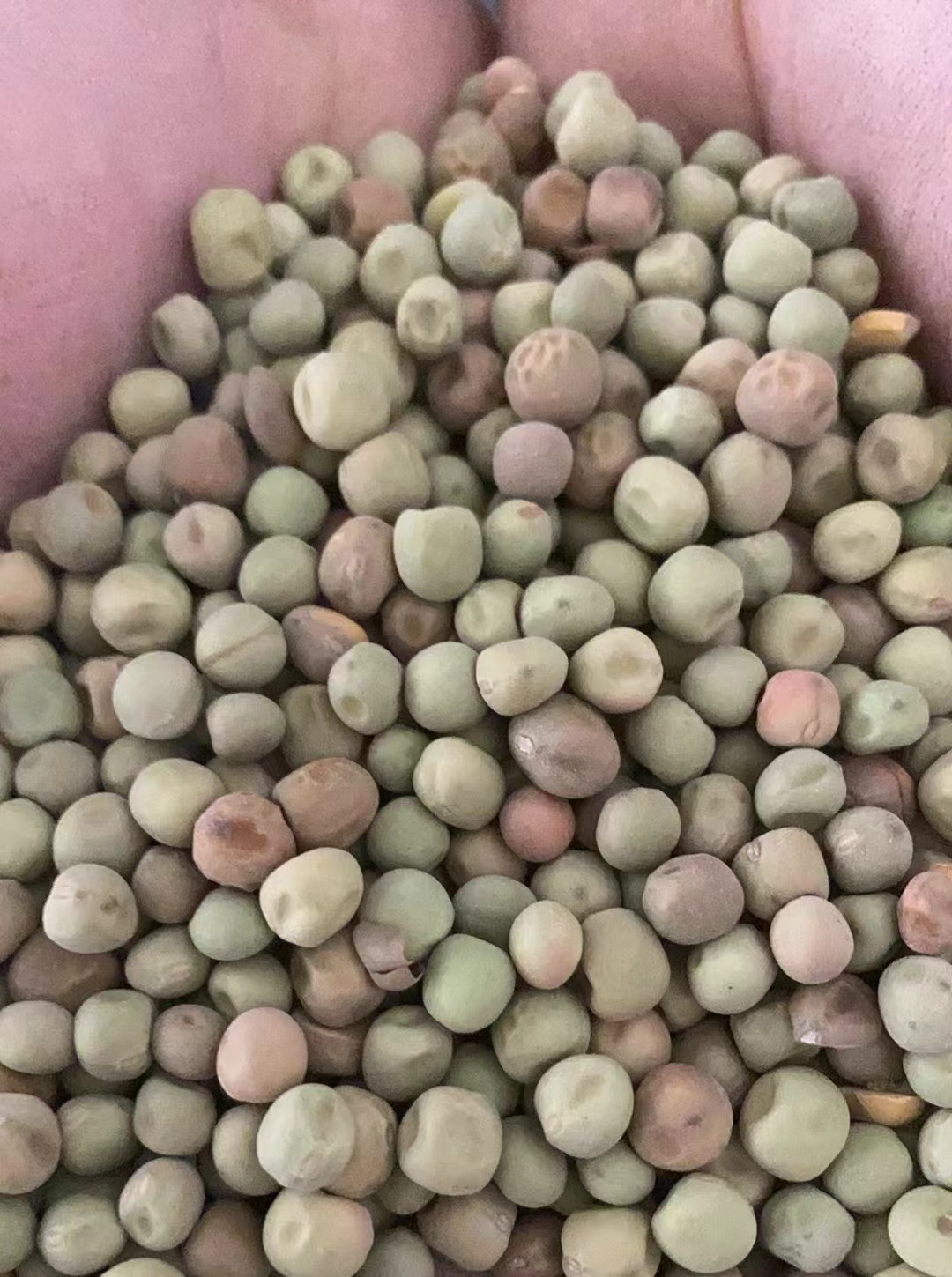 Green Mottled Peas