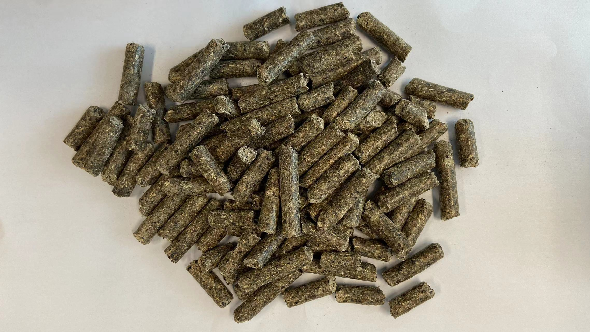 Sunflower Meal