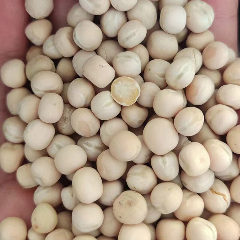 Pea
