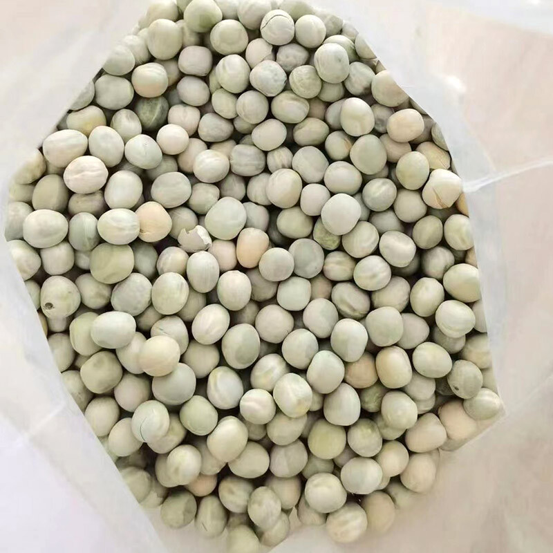 Pea