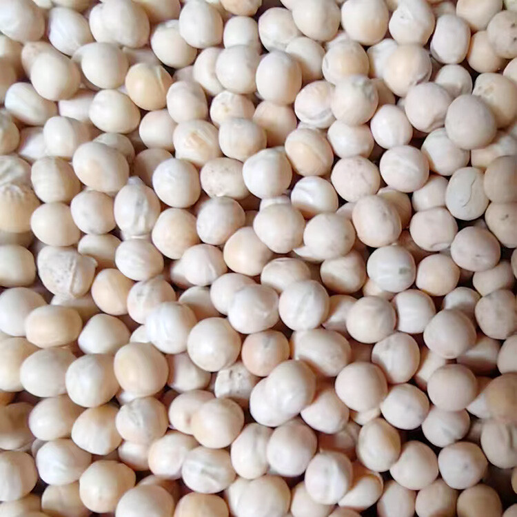Pea