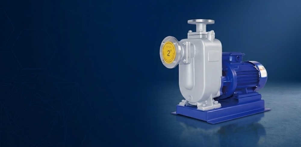 Cast Iron Pumps