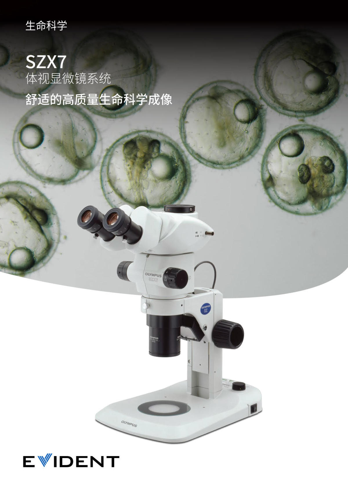 奥林巴斯体视显微镜SZX7