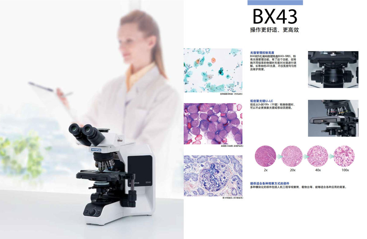 奥林巴斯显微镜BX43 BX46 BX53