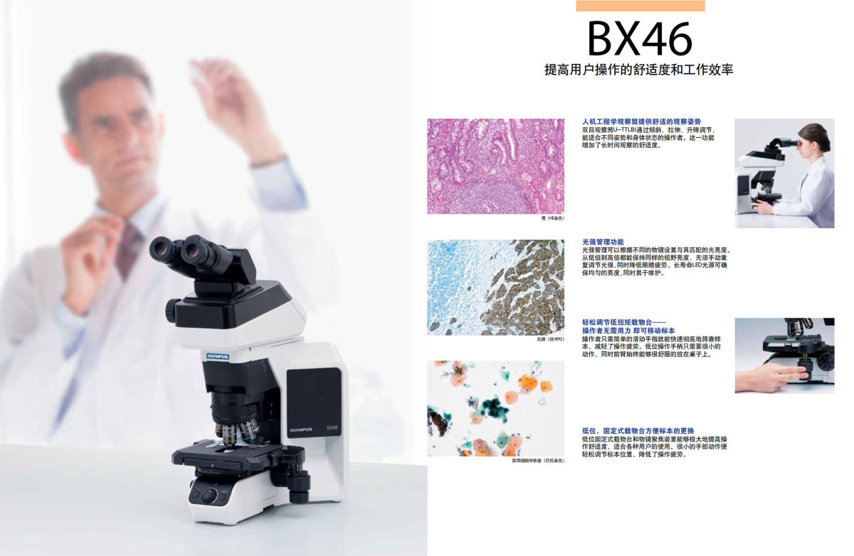 奥林巴斯显微镜BX43 BX46 BX53