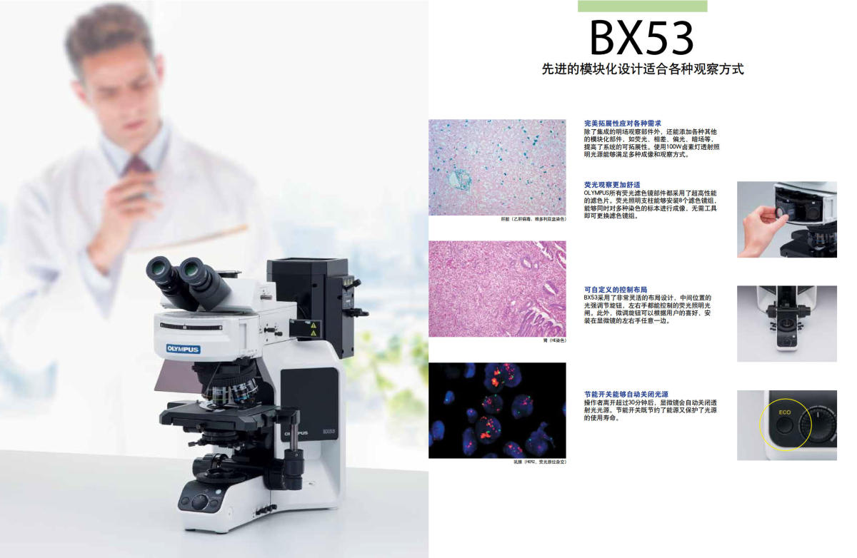 奥林巴斯显微镜BX43 BX46 BX53
