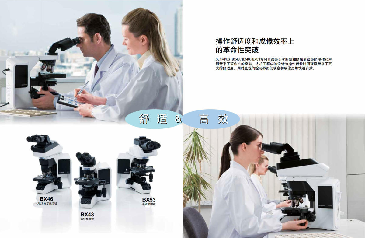 奥林巴斯显微镜BX43 BX46 BX53
