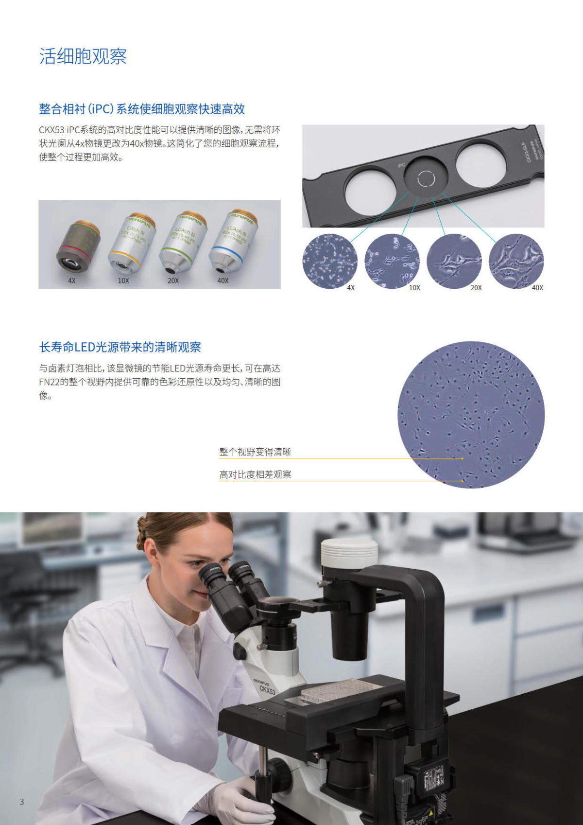 奥林巴斯倒置生物显微镜CKX53