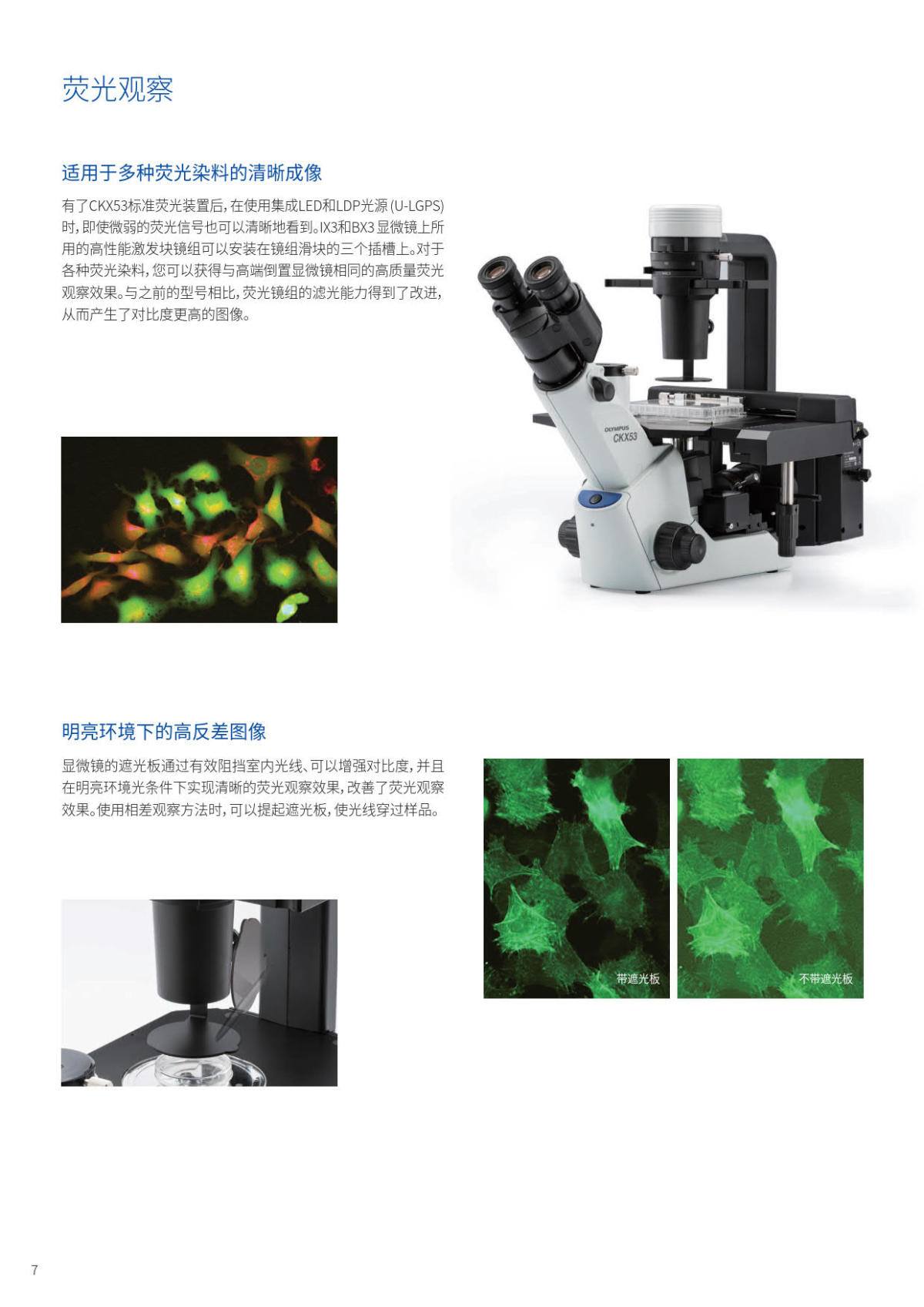 奥林巴斯倒置生物显微镜CKX53