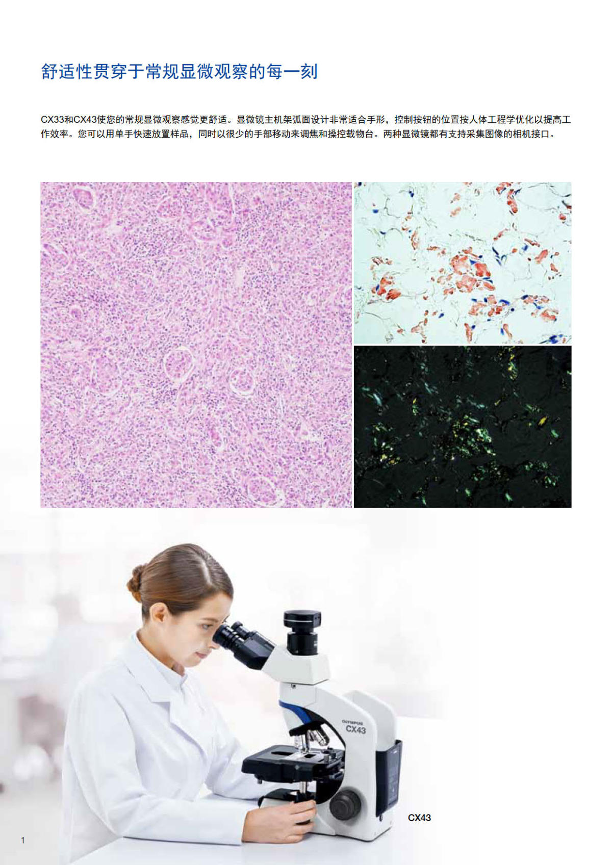 奥林巴斯生物显微镜CX33 CX43