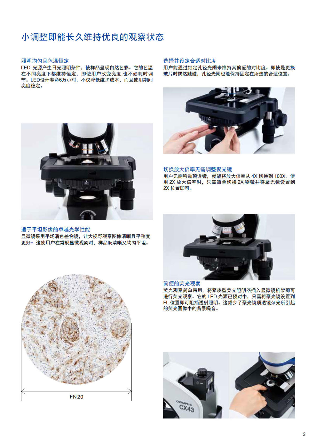 奥林巴斯生物显微镜CX33 CX43