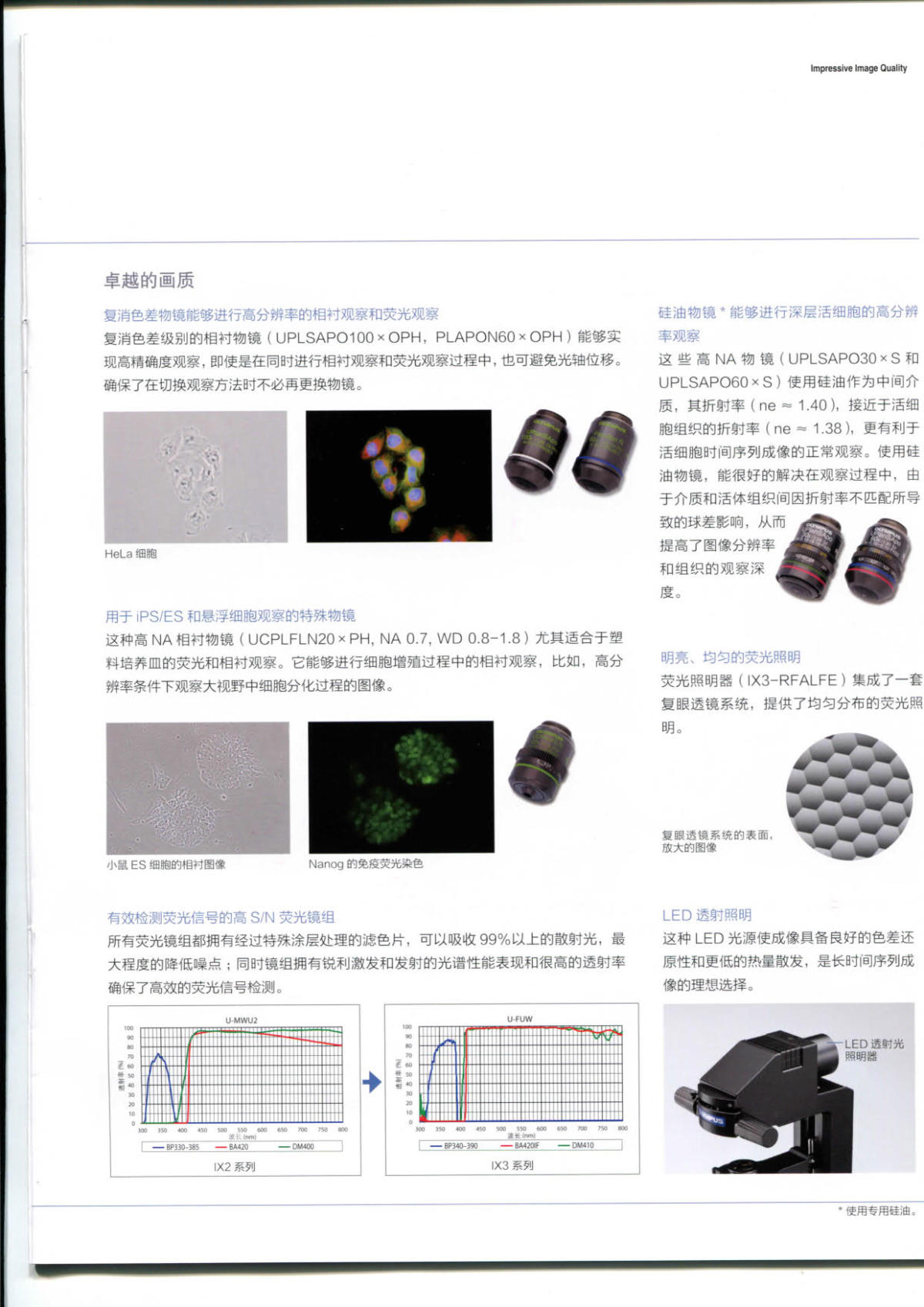 奥林巴斯倒置荧光显微镜IX73