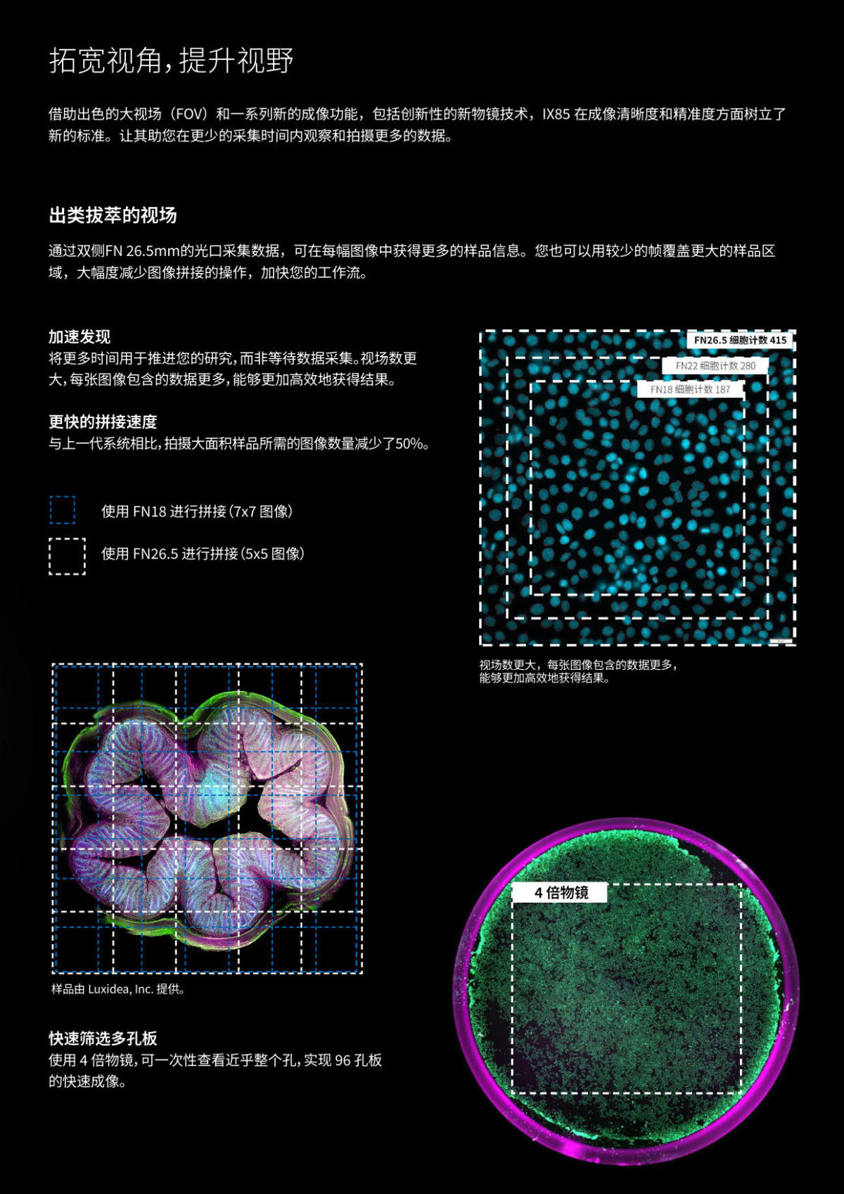 奥林巴斯电动倒置荧光显微镜IX85