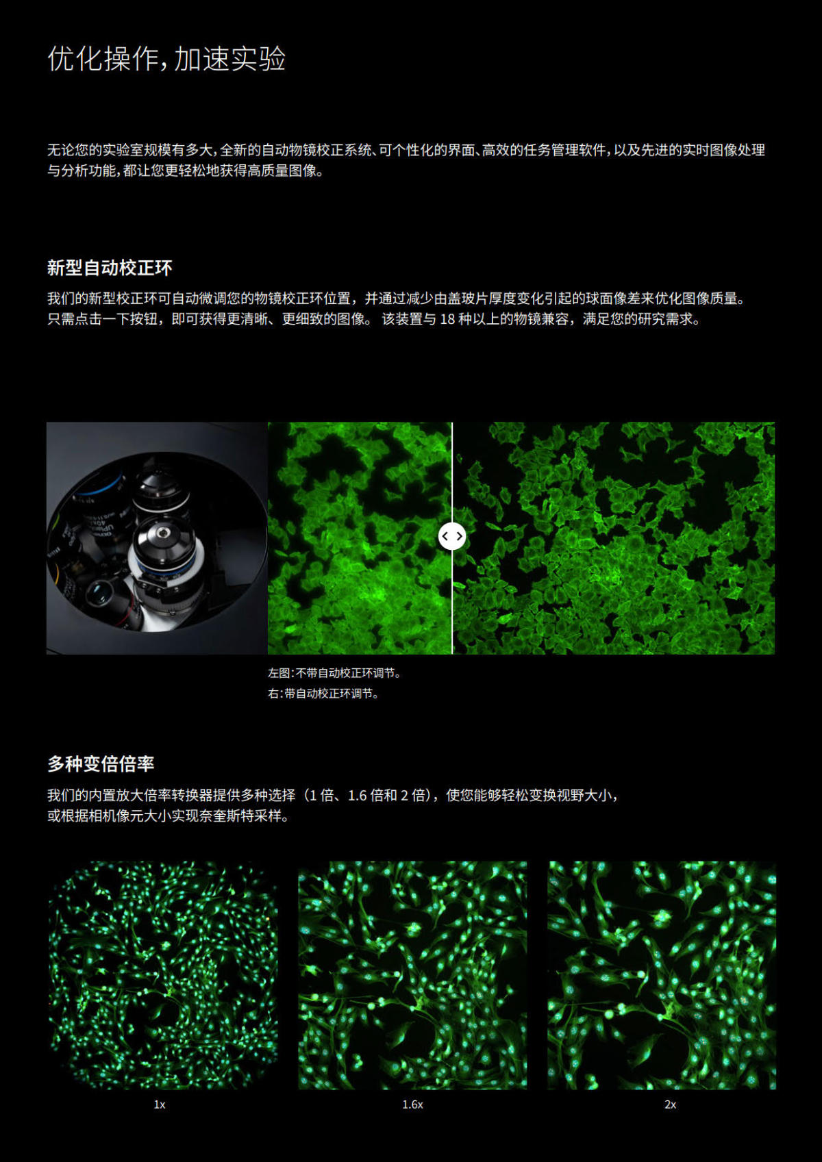 奥林巴斯电动倒置荧光显微镜IX85