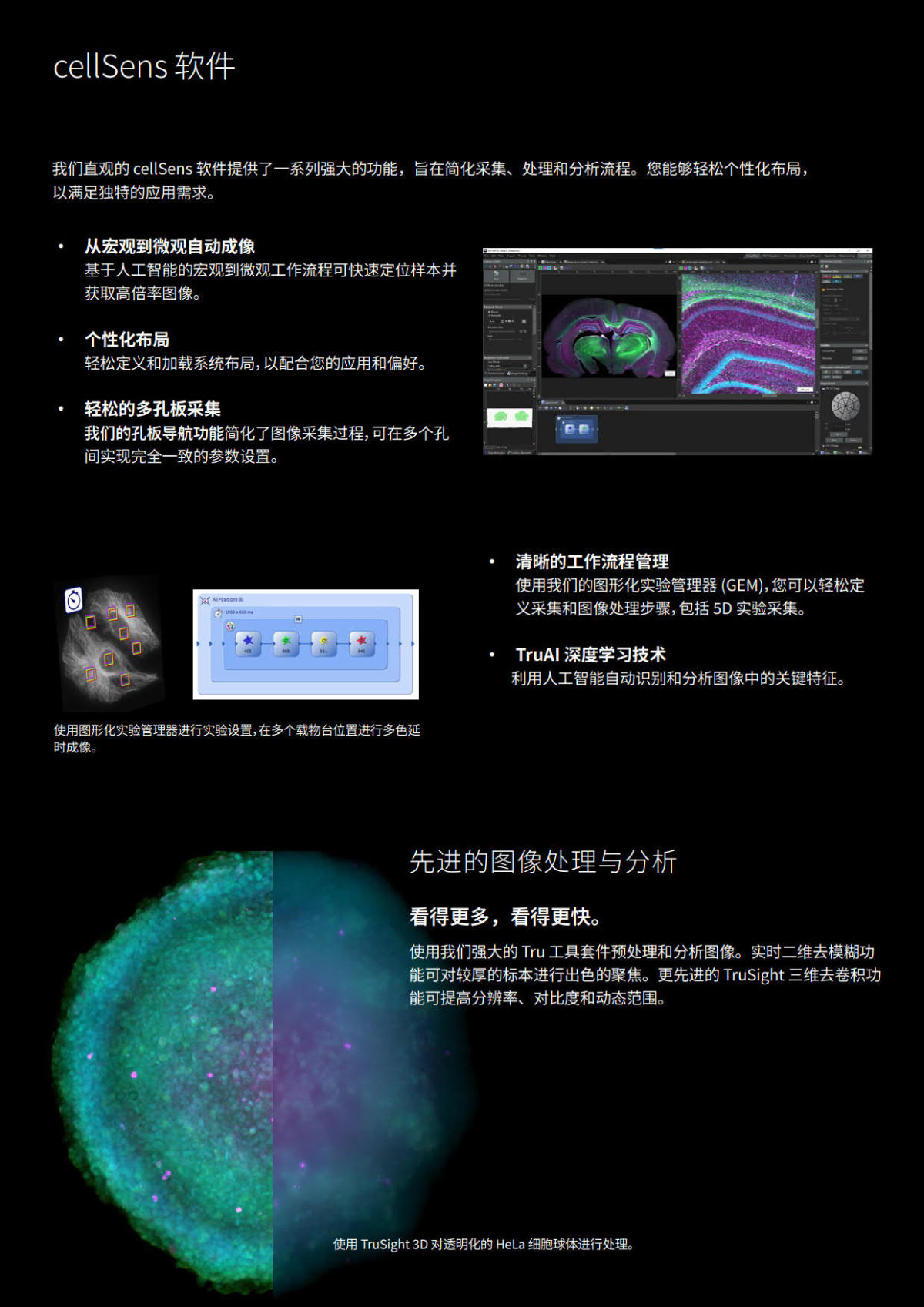 奥林巴斯电动倒置荧光显微镜IX85