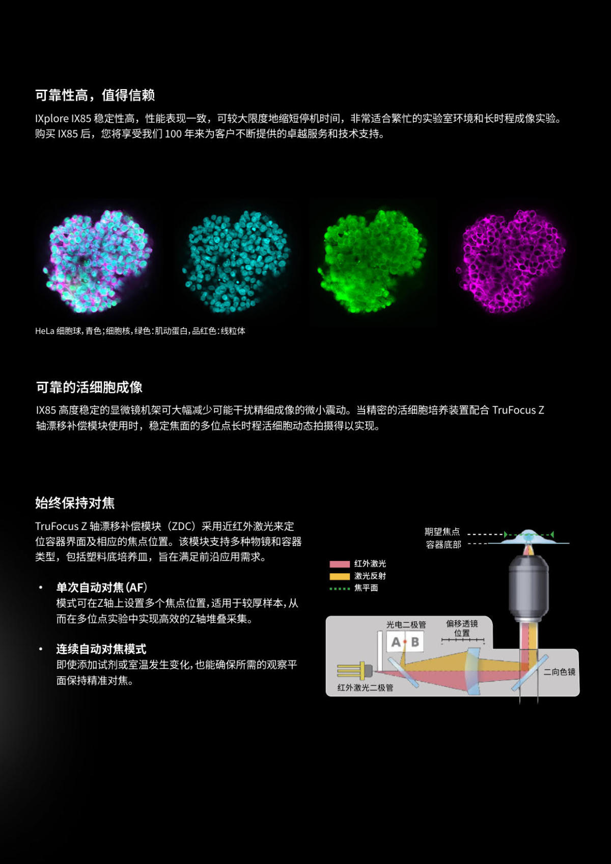 奥林巴斯电动倒置荧光显微镜IX85