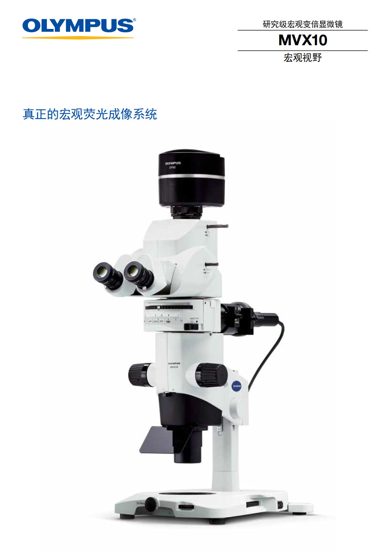 奥林巴斯体视荧光显微镜MVX10