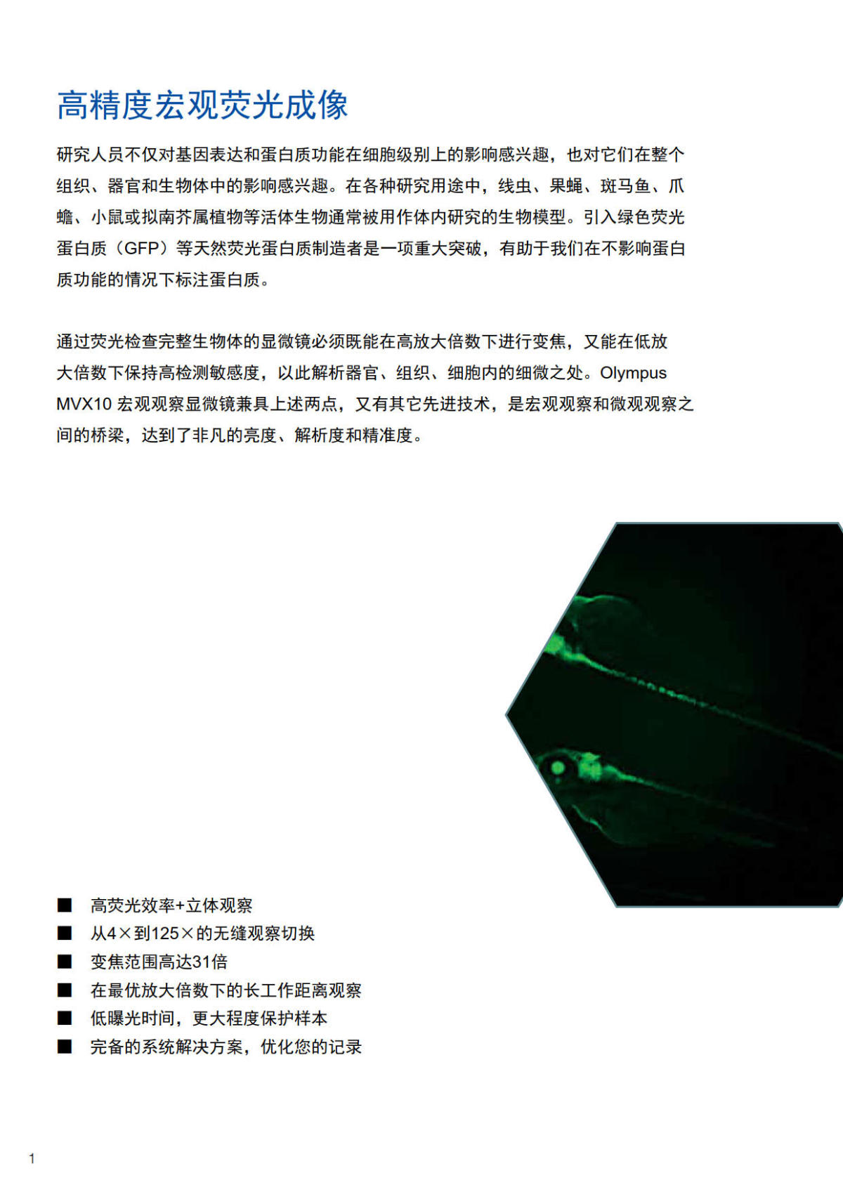 奥林巴斯体视荧光显微镜MVX10