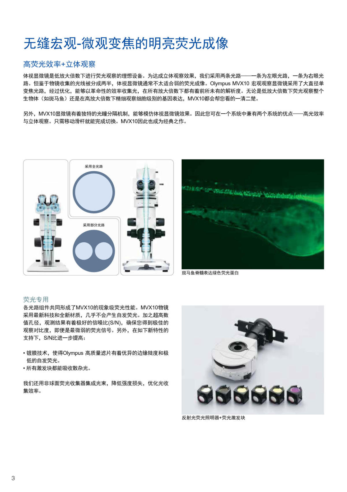 奥林巴斯体视荧光显微镜MVX10
