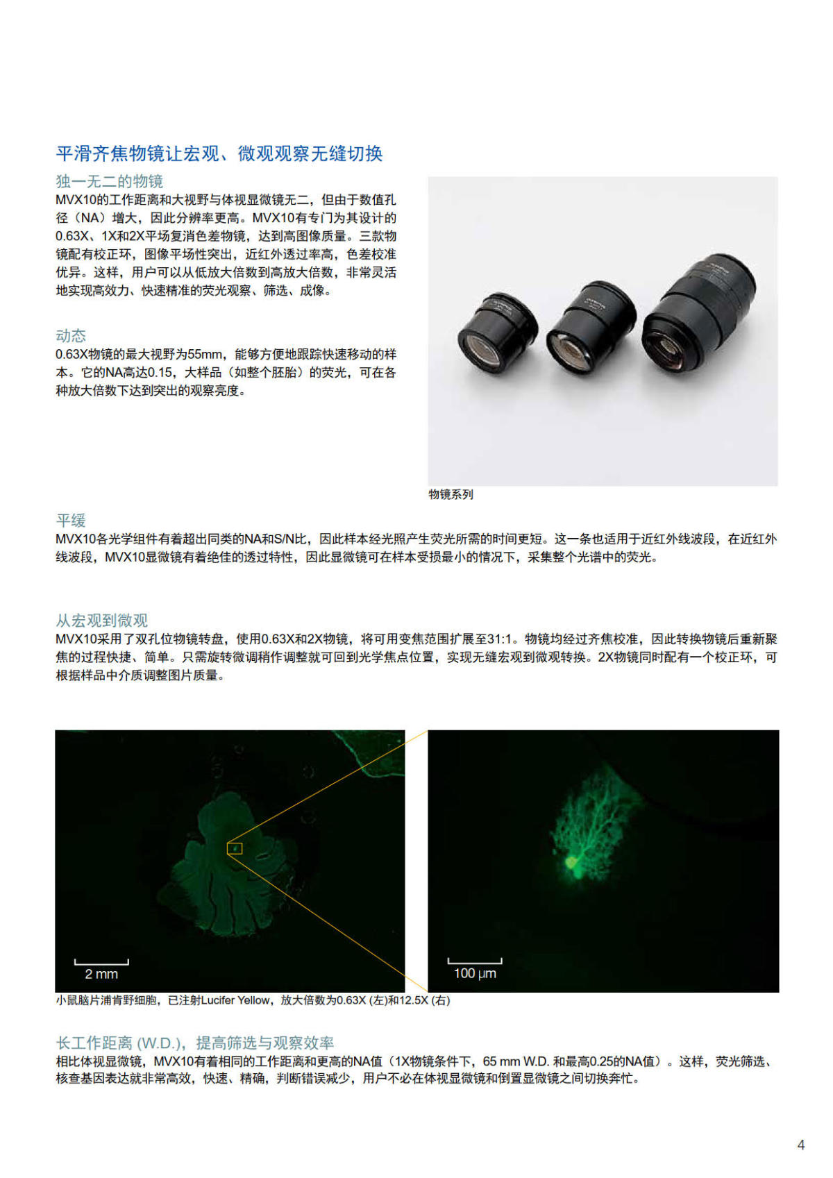 奥林巴斯体视荧光显微镜MVX10
