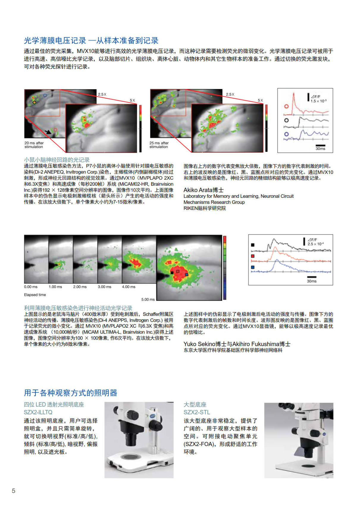 奥林巴斯体视荧光显微镜MVX10