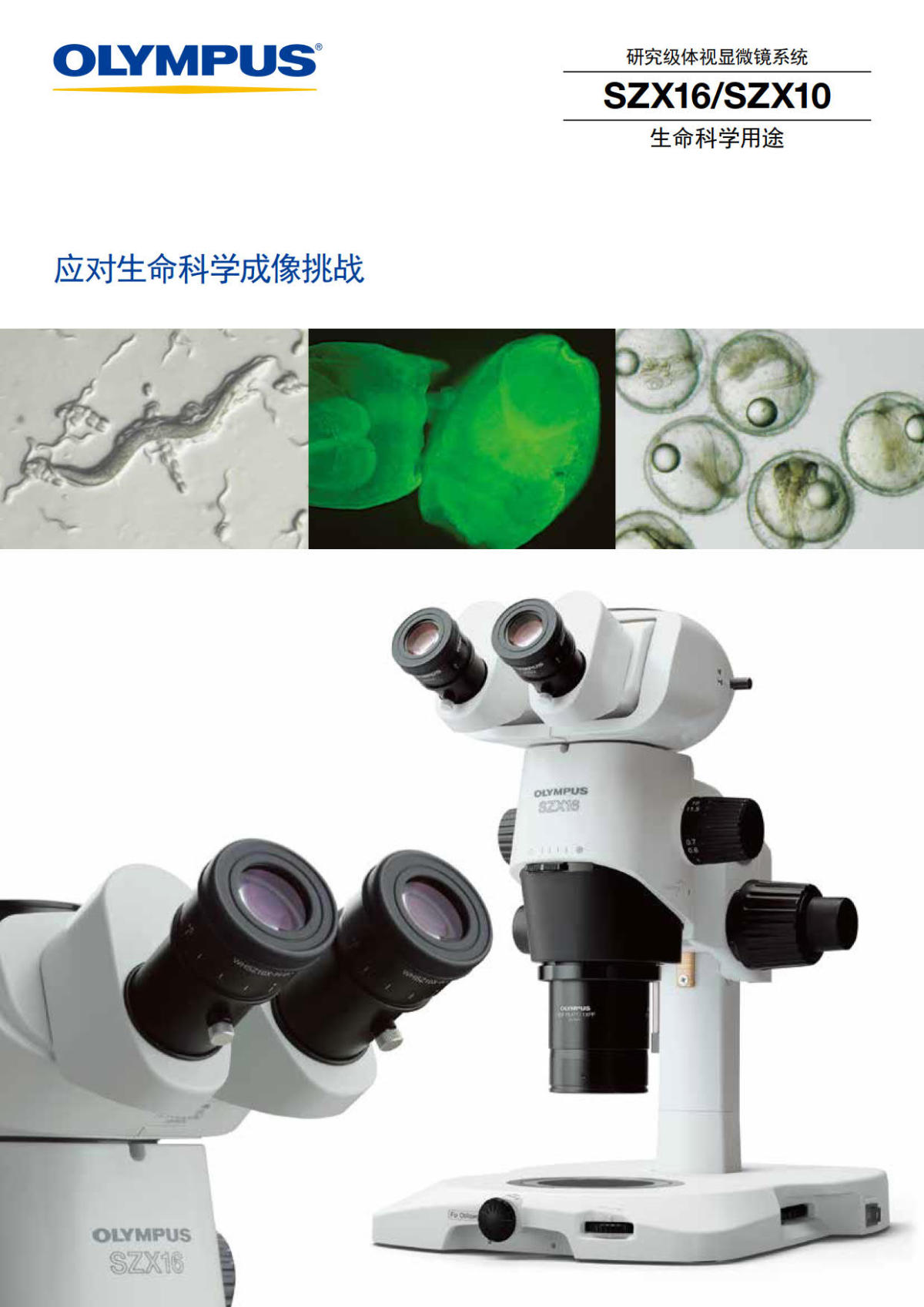 奥林巴斯体视显微镜SZX10 SZX16