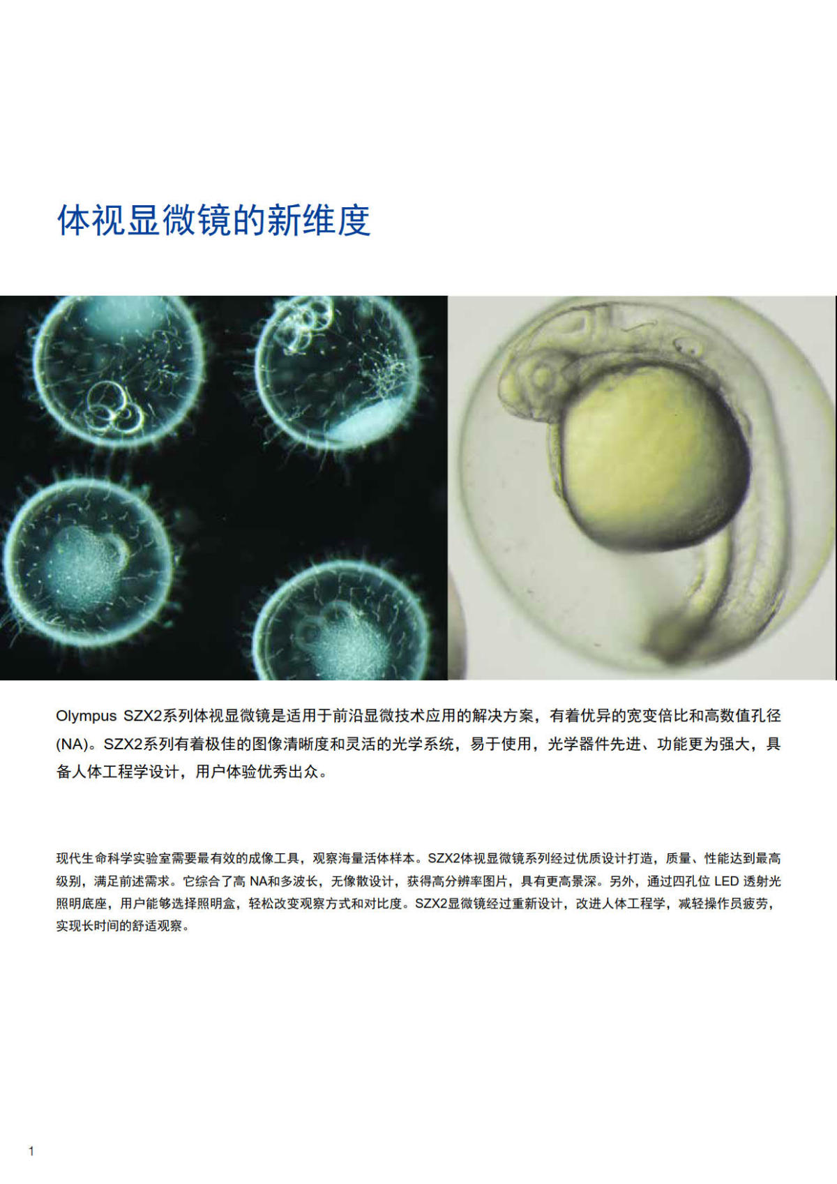 奥林巴斯体视显微镜SZX10 SZX16