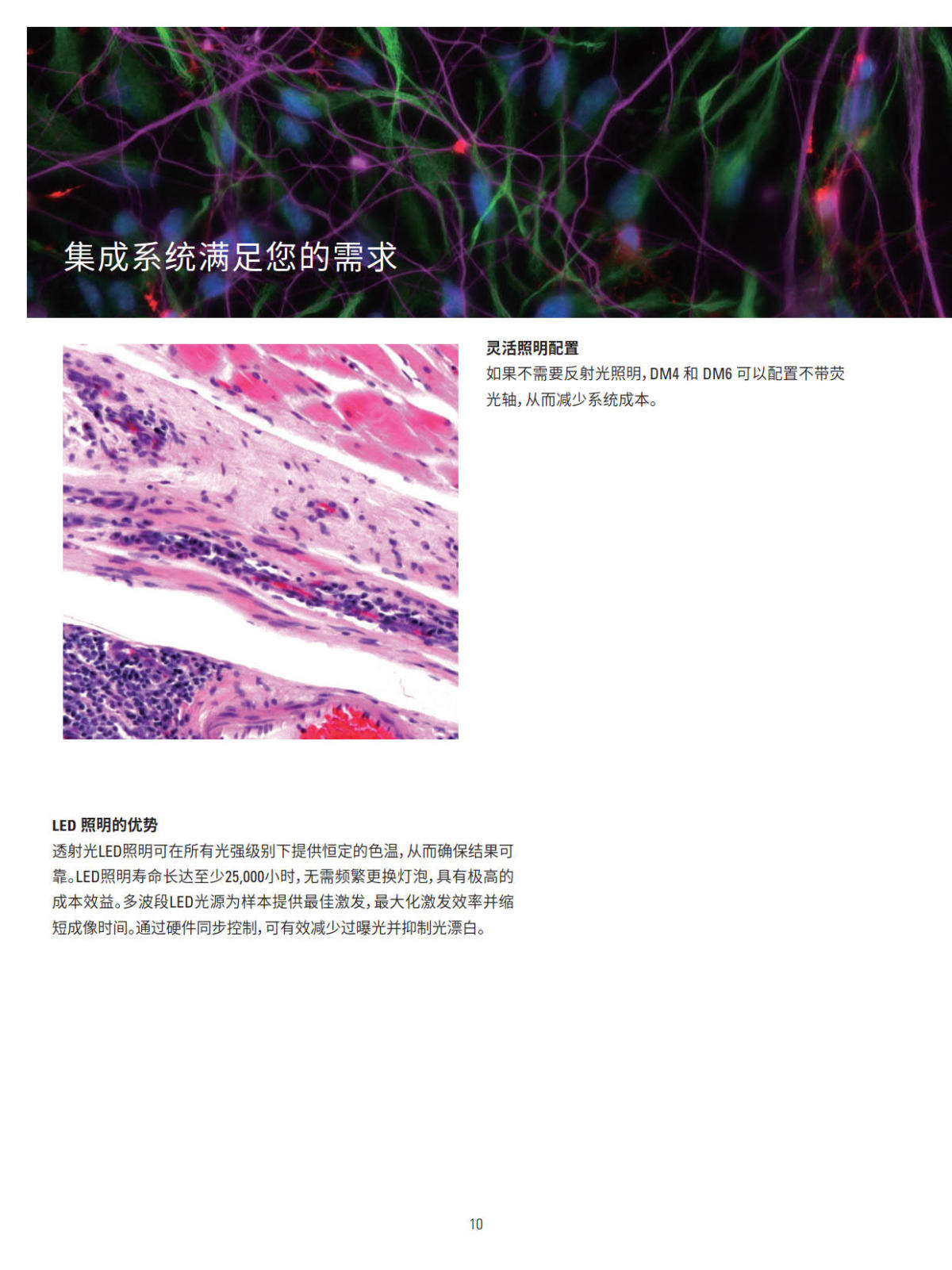 徕卡正置电动荧光显微镜 DM4B DM6B系列