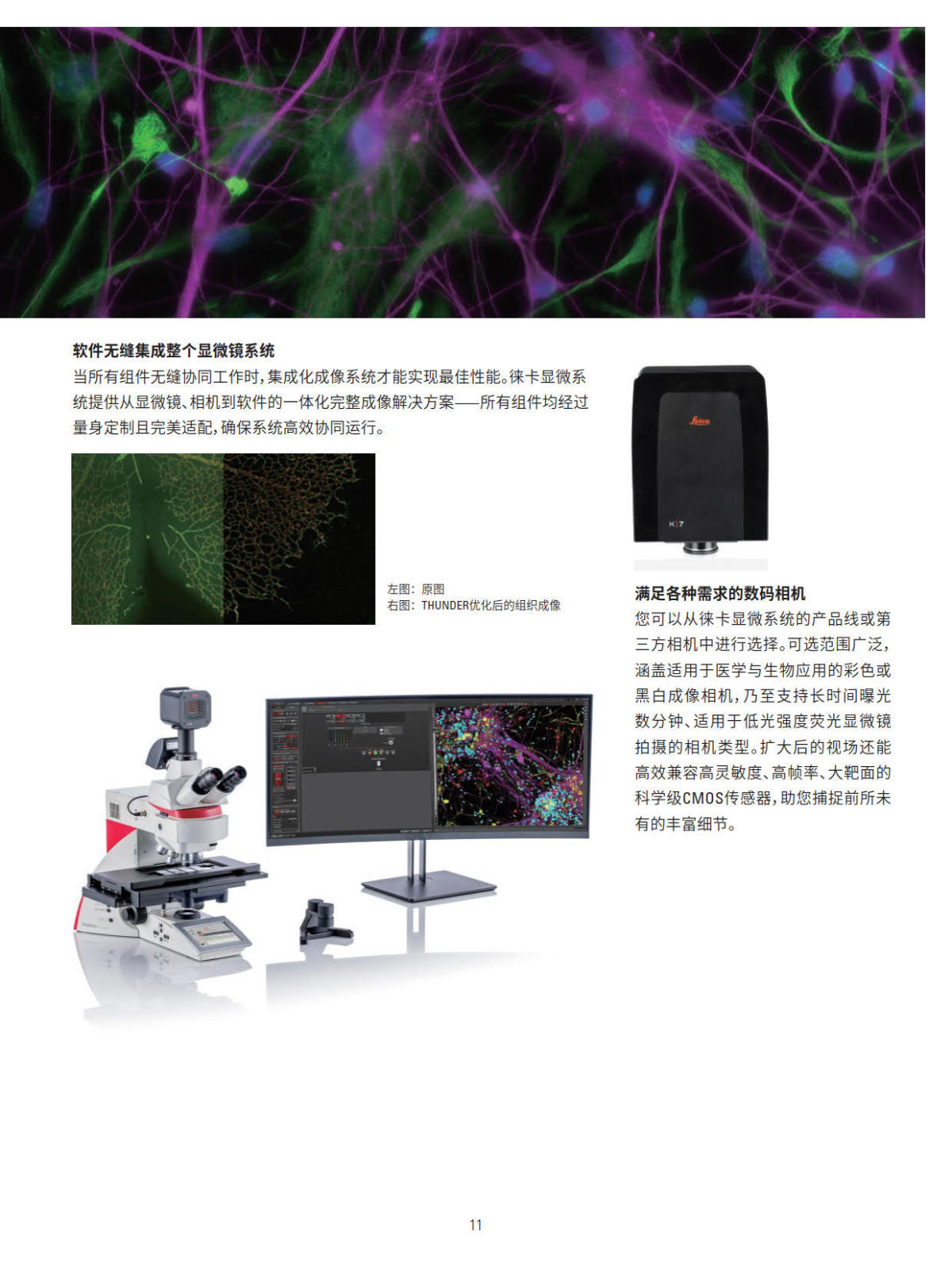徕卡正置电动荧光显微镜 DM4B DM6B系列